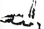 schwarz-weiß-raum oder die Auflösung der Form 2 // 2008 // 40 x 59 cm // Tusche auf Papier